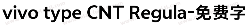 vivo type CNT Regula字体转换